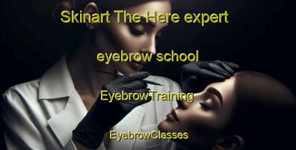 Skinart The Here expert eyebrow school | EyebrowTraining | EyebrowClasses | SkinartTraining-France