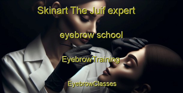 Skinart The Juif expert eyebrow school | EyebrowTraining | EyebrowClasses | SkinartTraining-France