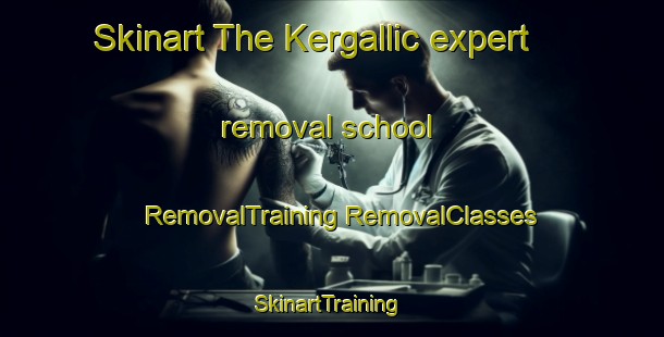 Skinart The Kergallic expert removal school | #RemovalTraining #RemovalClasses #SkinartTraining-France