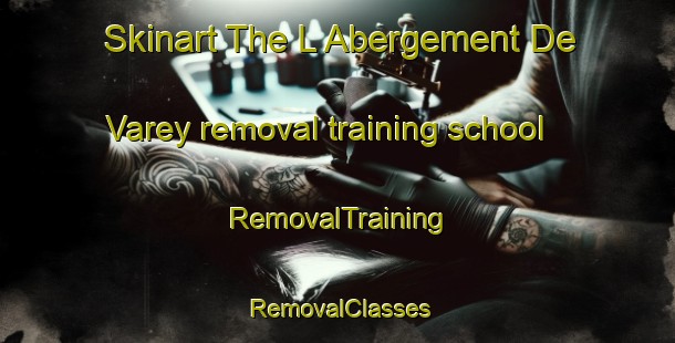 Skinart The L Abergement De Varey removal training school | RemovalTraining | RemovalClasses | SkinartTraining-France