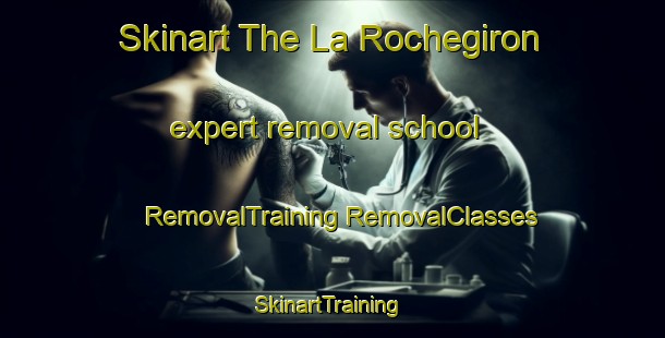 Skinart The La Rochegiron expert removal school | #RemovalTraining #RemovalClasses #SkinartTraining-France