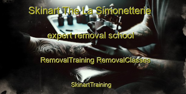 Skinart The La Simonetterie expert removal school | #RemovalTraining #RemovalClasses #SkinartTraining-France