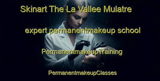 Skinart The La Vallee Mulatre expert permanentmakeup school | PermanentmakeupTraining | PermanentmakeupClasses | SkinartTraining-France