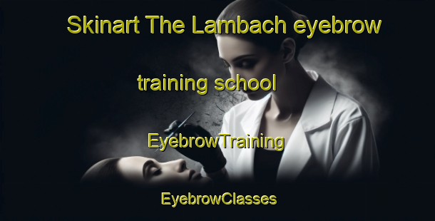 Skinart The Lambach eyebrow training school | EyebrowTraining | EyebrowClasses | SkinartTraining-France