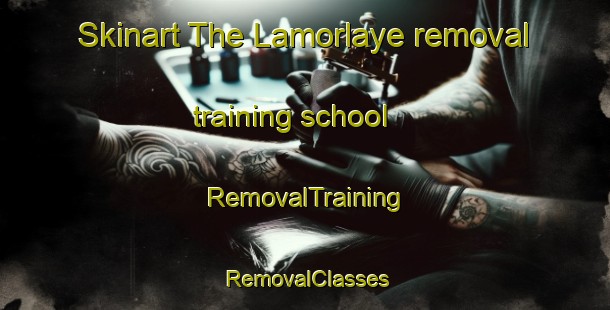 Skinart The Lamorlaye removal training school | RemovalTraining | RemovalClasses | SkinartTraining-France