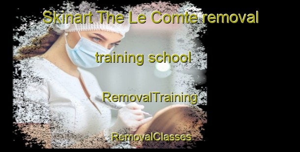 Skinart The Le Comte removal training school | RemovalTraining | RemovalClasses | SkinartTraining-France