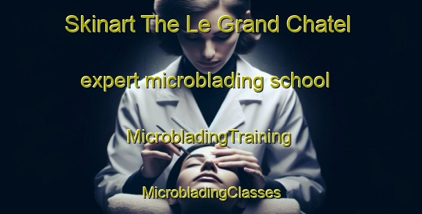 Skinart The Le Grand Chatel expert microblading school | #MicrobladingTraining #MicrobladingClasses #SkinartTraining-France