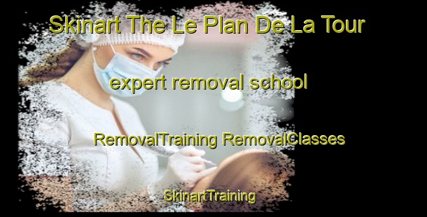 Skinart The Le Plan De La Tour expert removal school | #RemovalTraining #RemovalClasses #SkinartTraining-France