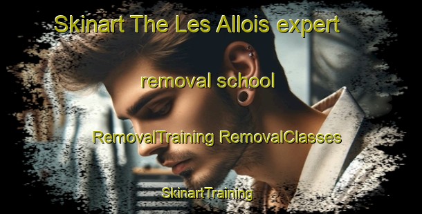 Skinart The Les Allois expert removal school | #RemovalTraining #RemovalClasses #SkinartTraining-France