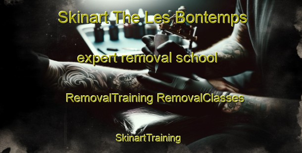 Skinart The Les Bontemps expert removal school | #RemovalTraining #RemovalClasses #SkinartTraining-France