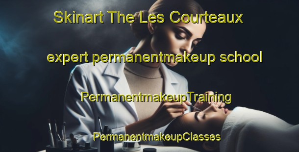 Skinart The Les Courteaux expert permanentmakeup school | #PermanentmakeupTraining #PermanentmakeupClasses #SkinartTraining-France