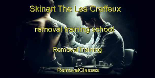 Skinart The Les Craffeux removal training school | RemovalTraining | RemovalClasses | SkinartTraining-France