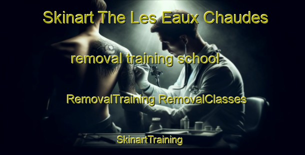 Skinart The Les Eaux Chaudes removal training school | #RemovalTraining #RemovalClasses #SkinartTraining-France