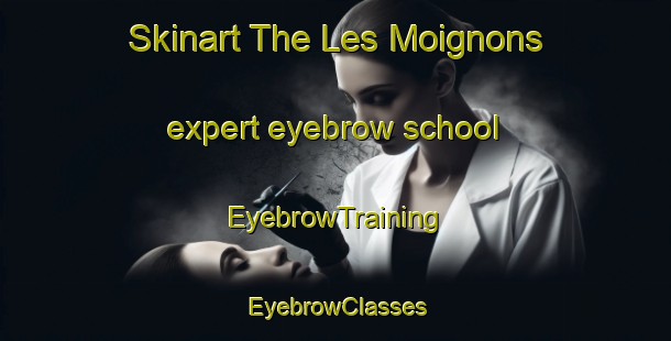 Skinart The Les Moignons expert eyebrow school | EyebrowTraining | EyebrowClasses | SkinartTraining-France