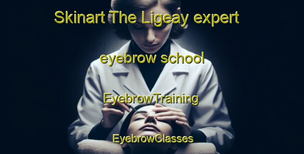 Skinart The Ligeay expert eyebrow school | EyebrowTraining | EyebrowClasses | SkinartTraining-France