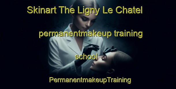 Skinart The Ligny Le Chatel permanentmakeup training school | PermanentmakeupTraining | PermanentmakeupClasses | SkinartTraining-France
