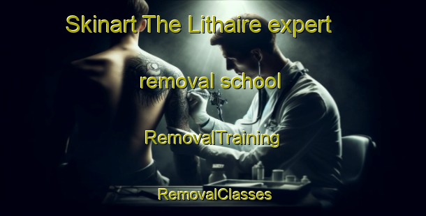 Skinart The Lithaire expert removal school | RemovalTraining | RemovalClasses | SkinartTraining-France