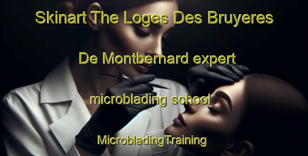 Skinart The Loges Des Bruyeres De Montbernard expert microblading school | #MicrobladingTraining #MicrobladingClasses #SkinartTraining-France