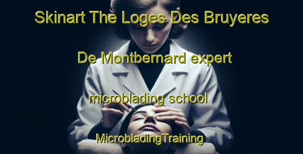 Skinart The Loges Des Bruyeres De Montbernard expert microblading school | #MicrobladingTraining #MicrobladingClasses #SkinartTraining-France