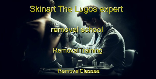 Skinart The Lugos expert removal school | RemovalTraining | RemovalClasses | SkinartTraining-France