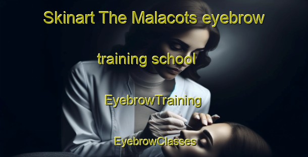 Skinart The Malacots eyebrow training school | EyebrowTraining | EyebrowClasses | SkinartTraining-France