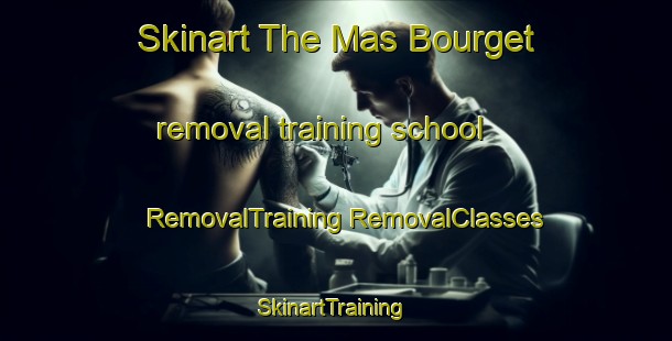 Skinart The Mas Bourget removal training school | #RemovalTraining #RemovalClasses #SkinartTraining-France