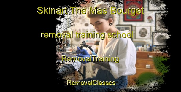 Skinart The Mas Bourget removal training school | RemovalTraining | RemovalClasses | SkinartTraining-France