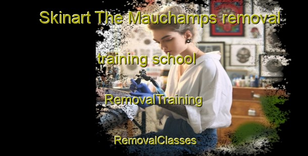 Skinart The Mauchamps removal training school | RemovalTraining | RemovalClasses | SkinartTraining-France