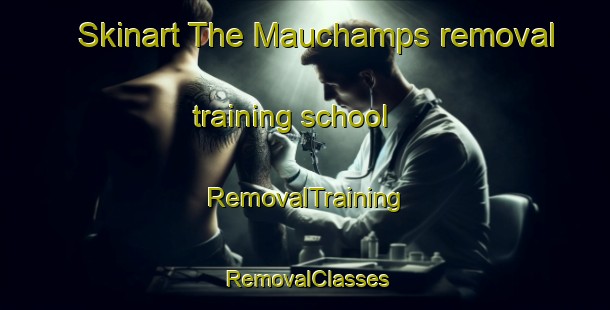 Skinart The Mauchamps removal training school | RemovalTraining | RemovalClasses | SkinartTraining-France