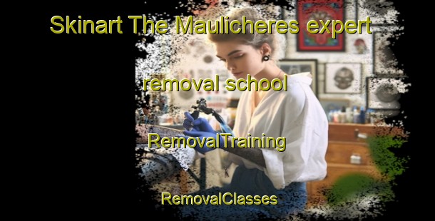 Skinart The Maulicheres expert removal school | RemovalTraining | RemovalClasses | SkinartTraining-France
