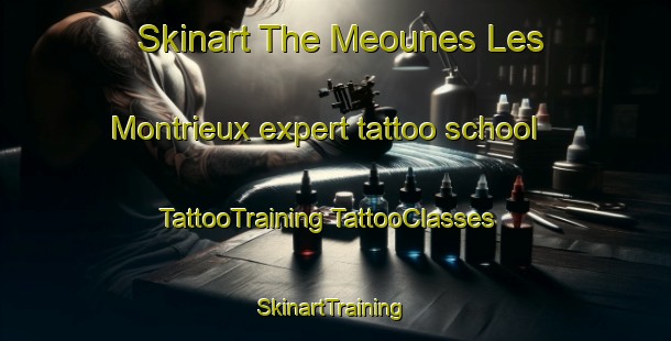 Skinart The Meounes Les Montrieux expert tattoo school | #TattooTraining #TattooClasses #SkinartTraining-France