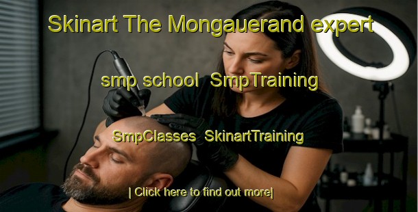 Skinart The Mongauerand expert smp school | SmpTraining | SmpClasses | SkinartTraining-France