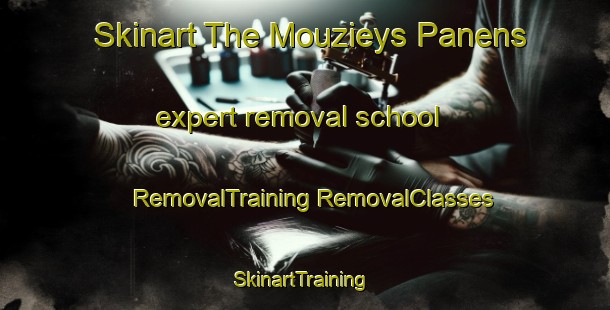 Skinart The Mouzieys Panens expert removal school | #RemovalTraining #RemovalClasses #SkinartTraining-France