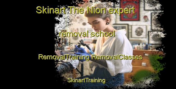 Skinart The Nion expert removal school | #RemovalTraining #RemovalClasses #SkinartTraining-France