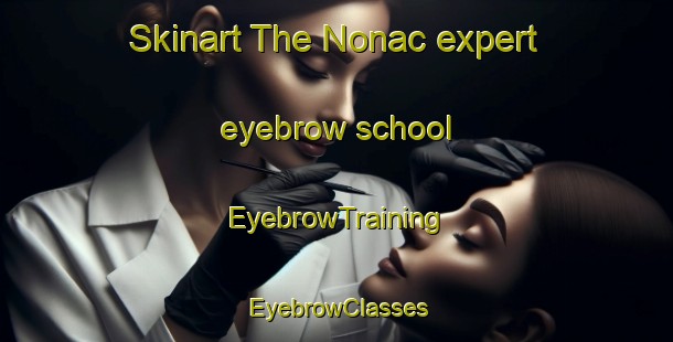 Skinart The Nonac expert eyebrow school | EyebrowTraining | EyebrowClasses | SkinartTraining-France