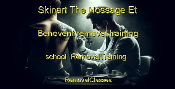 Skinart The Nossage Et Benevent removal training school | RemovalTraining | RemovalClasses | SkinartTraining-France