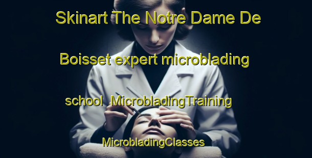Skinart The Notre Dame De Boisset expert microblading school | MicrobladingTraining | MicrobladingClasses | SkinartTraining-France