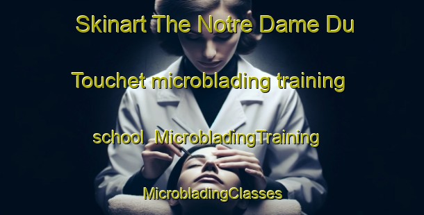 Skinart The Notre Dame Du Touchet microblading training school | #MicrobladingTraining #MicrobladingClasses #SkinartTraining-France