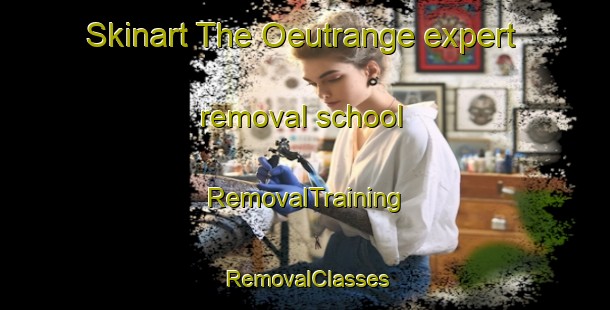 Skinart The Oeutrange expert removal school | RemovalTraining | RemovalClasses | SkinartTraining-France