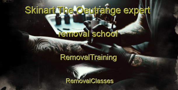 Skinart The Oeutrange expert removal school | RemovalTraining | RemovalClasses | SkinartTraining-France