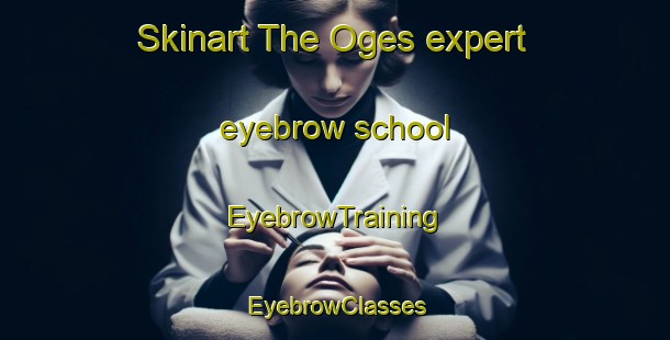 Skinart The Oges expert eyebrow school | EyebrowTraining | EyebrowClasses | SkinartTraining-France