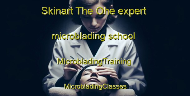 Skinart The Ohe expert microblading school | #MicrobladingTraining #MicrobladingClasses #SkinartTraining-France