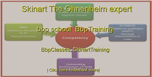Skinart The Ohnenheim expert bbp school | BbpTraining | BbpClasses | SkinartTraining-France