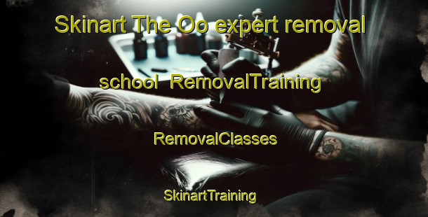Skinart The Oo expert removal school | RemovalTraining | RemovalClasses | SkinartTraining-France