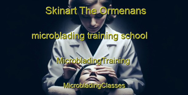 Skinart The Ormenans microblading training school | #MicrobladingTraining #MicrobladingClasses #SkinartTraining-France