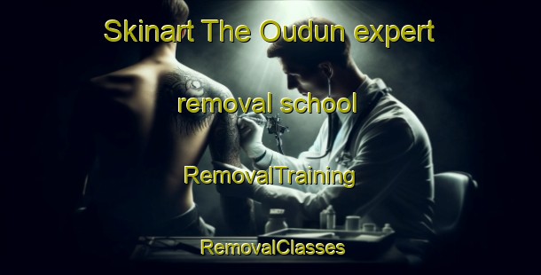 Skinart The Oudun expert removal school | RemovalTraining | RemovalClasses | SkinartTraining-France