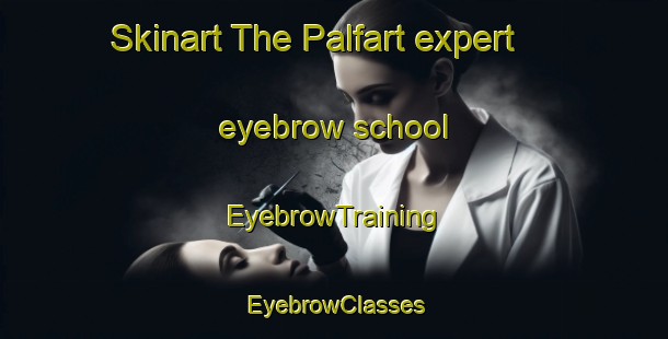 Skinart The Palfart expert eyebrow school | EyebrowTraining | EyebrowClasses | SkinartTraining-France