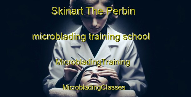 Skinart The Perbin microblading training school | MicrobladingTraining | MicrobladingClasses | SkinartTraining-France