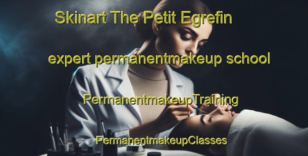 Skinart The Petit Egrefin expert permanentmakeup school | #PermanentmakeupTraining #PermanentmakeupClasses #SkinartTraining-France