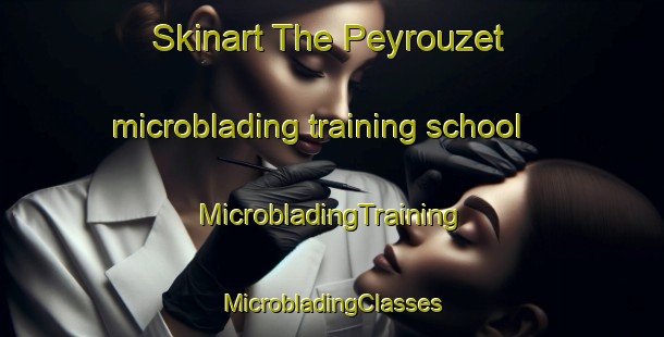 Skinart The Peyrouzet microblading training school | #MicrobladingTraining #MicrobladingClasses #SkinartTraining-France